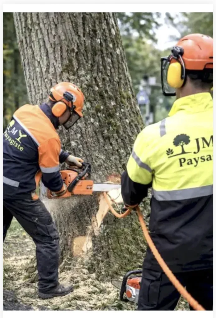 🌿 Bienvenue JM Paysagiste

JM paysagiste , nous sommes spécialisés dans la création et l'entretien de vos espaces extérieurs, alliant esthétique et respect de l'environnement. 🌱

Nos services d'entretien comprennent :
 -  élagueur 🌲
 -  abattage d’arbres 🌳
 - Taille de haie ✂️
 - Tonte de pelouse 🌿
 - Désherbage 🌾
 - Entretien de massifs 🌸

Nos services de création incluent :

 - Création de jardins et de terrasses 🌼
 - Pose de clôtures 🔨
 - Création de massifs floraux 🌷
 - pose portail
 - pose clôture
 - services d aménagement pour vos allées en       bordures, ect

Nous intervenons bordeaux et ses alentours et dans les villes voisines pour transformer et entretenir vos espaces verts. De la conception de jardins à l'entretien régulier, jm paysagiste vous accompagne à chaque étape pour un extérieur à la hauteur de vos attentes.
Suivez-nous pour découvrir nos réalisations, obtenir des conseils de jardinage et vous inspirer de la nature. 🌻

Envie de discuter d’un projet ou d'un entretien régulier ? Contactez-nous dès maintenant 06.43.90.62.46 !