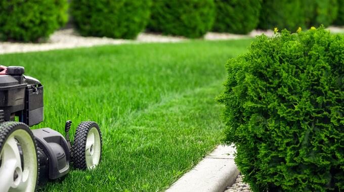 Paysagiste professionnel aménagement jardin terrasse espaces extérieurs