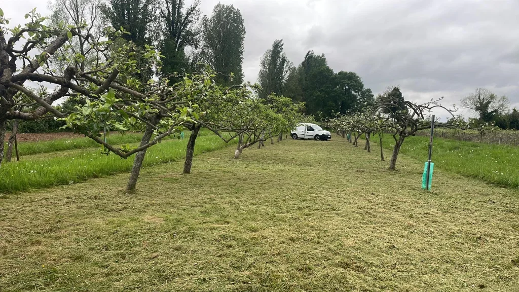 jardinage – Tonte àLamothe montravel