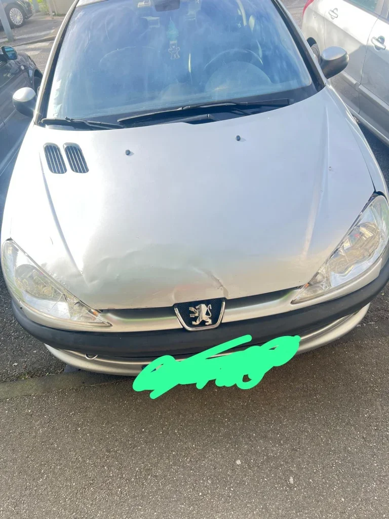 Marque PEUGEOT  Modèle 206