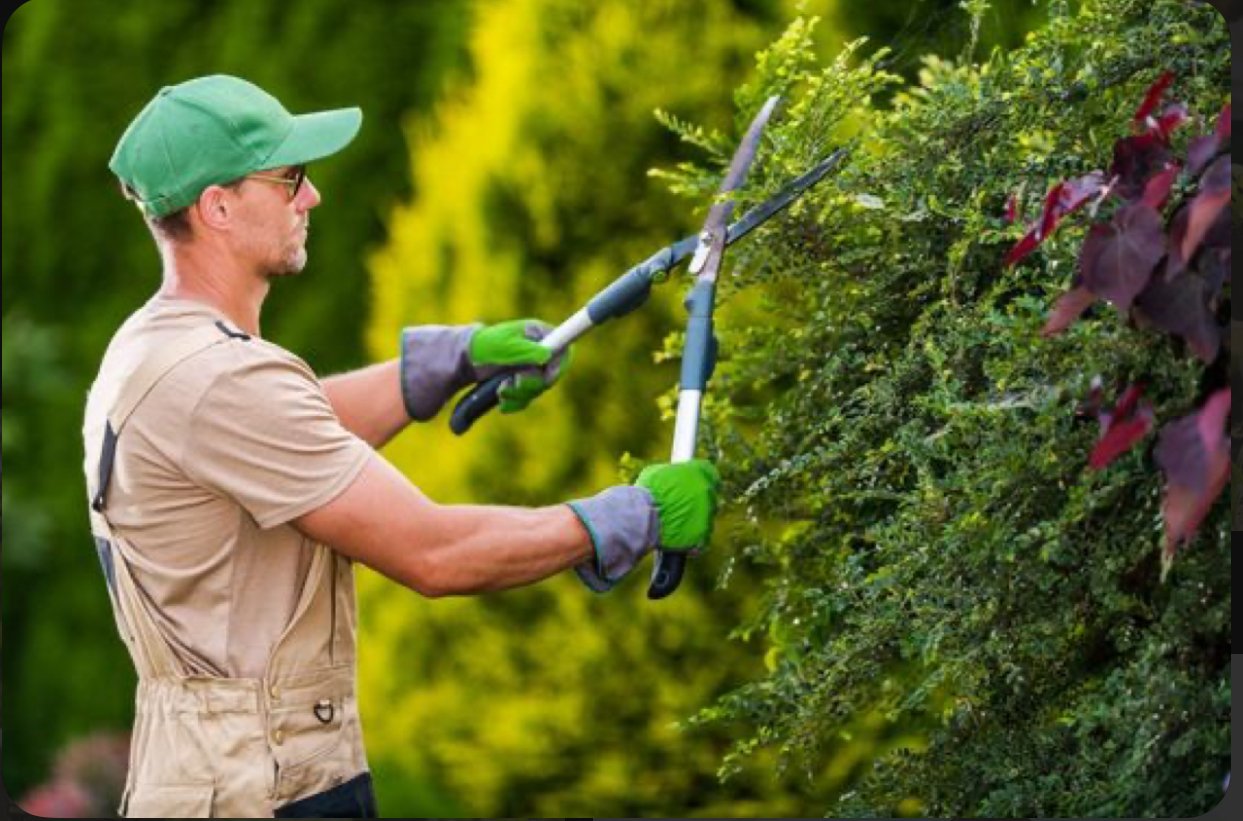 Recherche, jardinier